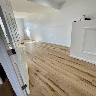 Basement Finishing and Building